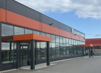 Аренда помещения свободного назначения, 500 м2, Соликамск, улица Всеобуча, 122