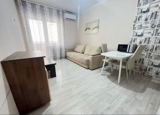 Сдам в аренду квартиру студию, 26 м2, Ростов-на-Дону, улица Пановой, 30с1