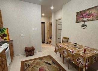 Однокомнатная квартира в аренду, 31 м2, Сыктывкар, Тентюковская улица, 300, ЖК Атлантида