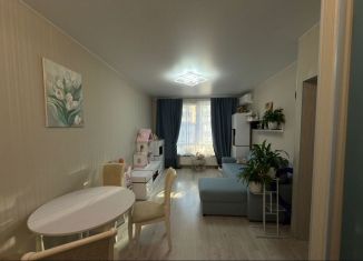 Продажа 1-ком. квартиры, 43.9 м2, Санкт-Петербург, Дальневосточный проспект, 12к2, Дальневосточный проспект