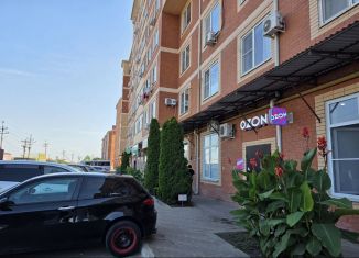 Продаю 1-комнатную квартиру, 44.3 м2, посёлок городского типа Яблоновский, улица Тургеневское Шоссе