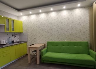 Сдам квартиру студию, 26 м2, Котельники, микрорайон Новые Котельники, 2