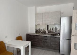 Сдаю в аренду 1-ком. квартиру, 32 м2, Санкт-Петербург, улица Генерала Кравченко, 9к1, Красносельский район