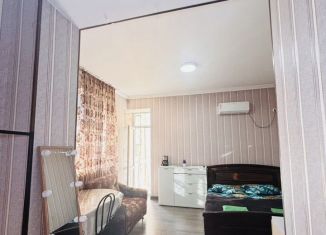 Аренда квартиры студии, 35 м2, Сочи, Вегетарианская улица, 14