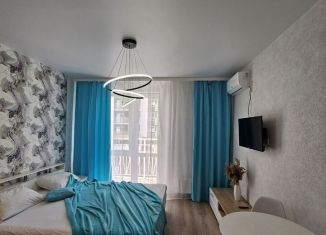 Аренда квартиры студии, 22 м2, Сочи, улица Искры, 66/9