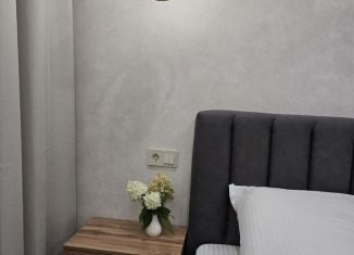 Сдам в аренду 1-комнатную квартиру, 48 м2, Пенза, Революционная улица, 34