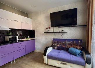 Сдается квартира студия, 25 м2, Сочи, Волжская улица, 16