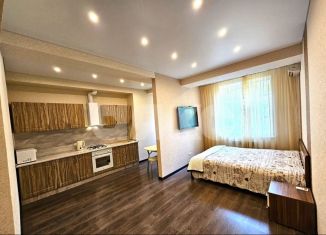 Двухкомнатная квартира на продажу, 51 м2, Сочи, переулок Рахманинова, 39/9, микрорайон Новый Сочи