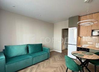 Сдача в аренду квартиры студии, 28 м2, Новосибирск, 2-я Воинская улица, 53, Октябрьский район