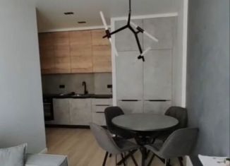 Сдам квартиру студию, 30 м2, Ростов-на-Дону, Красноармейская улица, 157В/83с1