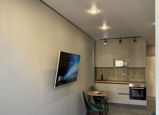 Аренда квартиры студии, 32 м2, Ростов-на-Дону, улица 23-я Линия, 54с6