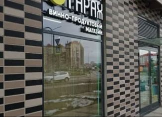 Помещение свободного назначения на продажу, 105 м2, Санкт-Петербург, улица Михаила Дудина, 10