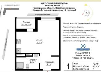 Сдам в аренду квартиру студию, 25 м2, Мурино, Ручьёвский проспект, 15