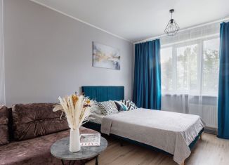 Сдам 1-ком. квартиру, 33 м2, Казань, Волгоградская улица, 41