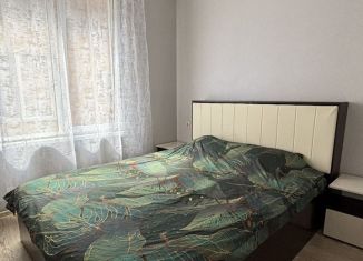 Аренда 2-ком. квартиры, 39 м2, Сочи, Пятигорская улица, 88/9