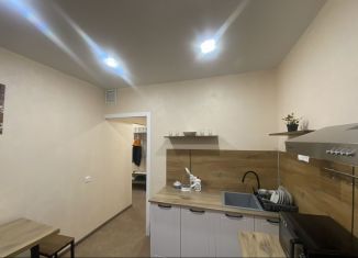 Аренда однокомнатной квартиры, 32 м2, Великий Новгород, Большая Московская улица, 138