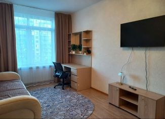 1-ком. квартира в аренду, 34.3 м2, Санкт-Петербург, Красносельский район