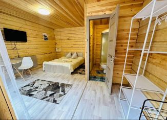 Аренда дома, 25 м2, Республика Алтай, Депутатская улица, 17