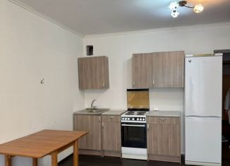 Сдам в аренду квартиру студию, 30 м2, Новосибирск, улица Виталия Потылицына, 11, Октябрьский район