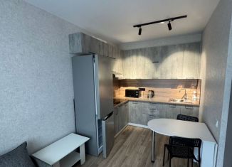 2-комнатная квартира в аренду, 45 м2, Пенза, улица Шмидта, 3