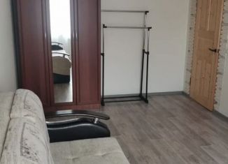 Сдается в аренду однокомнатная квартира, 40 м2, Пенза, улица Измайлова, 60