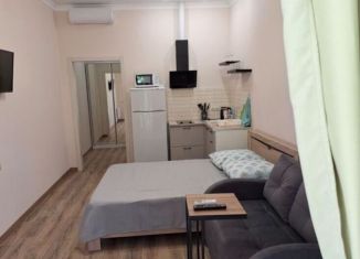 Продаю квартиру студию, 14.8 м2, Москва, 9-я Парковая улица, 9А, ВАО