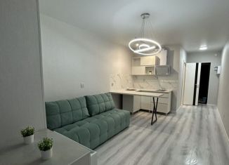 Продам квартиру студию, 23 м2, Краснодар, улица Евгении Жигуленко, 7к2