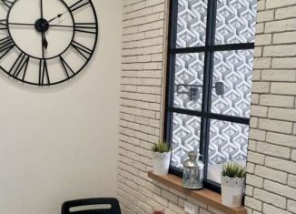 Продается квартира студия, 24.6 м2, Мурино, Петровский бульвар, 2к1