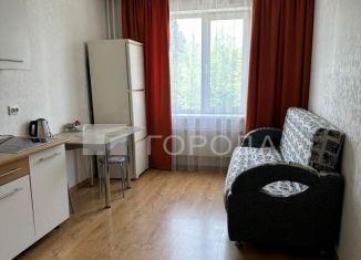 Сдается однокомнатная квартира, 55 м2, Новосибирск, улица Татьяны Снежиной, 51, Октябрьский район
