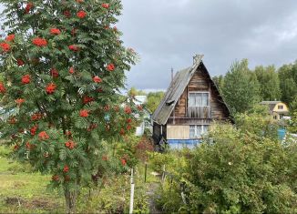 Продается дача, 40 м2, Карелия