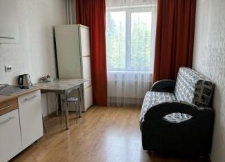 Сдам 1-ком. квартиру, 55 м2, Новосибирск, улица Татьяны Снежиной, 51, Октябрьский район