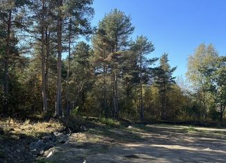 Участок на продажу, 10.5 сот., село Заозерье, Пиньгубская улица