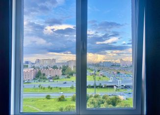 Продается квартира студия, 27 м2, Санкт-Петербург, метро Звёздная, Витебский проспект, 99к1