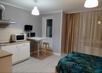 Сдается в аренду квартира студия, 26 м2, посёлок Парголово, улица Николая Рубцова, 5, ЖК Северная Долина