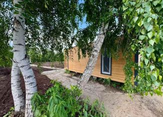 Продается дача, 35 м2, деревня Решетникова