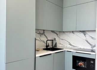 Сдам в аренду 2-комнатную квартиру, 48 м2, Сочи, Ясногорская улица, 16/2к4