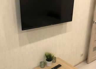 Сдам в аренду однокомнатную квартиру, 35.7 м2, Казань, Тэцевская улица, 4Б