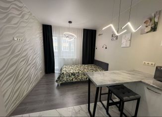 Продам квартиру студию, 28 м2, Ростов-на-Дону, улица Нансена, 103/1/5