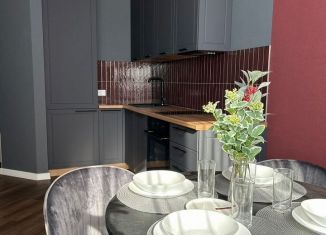 Сдаю в аренду 1-комнатную квартиру, 51 м2, Новосибирск, улица Дуси Ковальчук, 242, метро Заельцовская