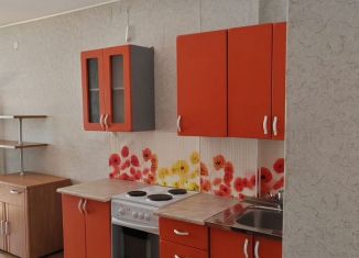 Сдается квартира студия, 26 м2, Псков, Техническая улица, 14