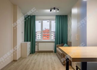 Продаю квартиру студию, 22 м2, Мурино, улица Шоссе в Лаврики, 95, ЖК Ромашки