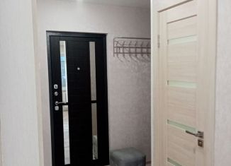 Сдам в аренду однокомнатную квартиру, 38 м2, Краснокаменск, 3-й микрорайон, 309