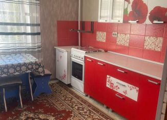 Сдается в аренду 1-комнатная квартира, 45 м2, Саратов, 2-й проезд имени Ф.А. Блинова, 6Б