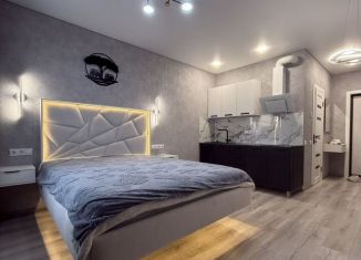 Продается квартира студия, 26 м2, Ростов-на-Дону, проспект Маршала Жукова, 18