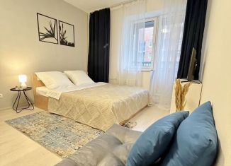 Сдается квартира студия, 22 м2, Санкт-Петербург, Славянская улица, 8, ЖК Живи в Рыбацком