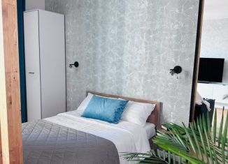 Сдается квартира студия, 28 м2, Ростов-на-Дону, улица Штахановского, 18/1