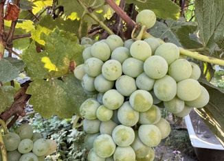 Продам дом, 67 м2, Ростов-на-Дону, Миллеровская улица