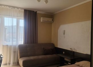 Сдам в аренду квартиру студию, 29 м2, Сириус, Ружейная улица, 39