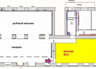 Сдам помещение свободного назначения, 55.7 м2, Архангельск, Троицкий проспект, 121к2