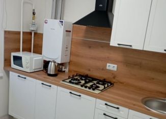 Сдаю в аренду 1-комнатную квартиру, 28 м2, Калуга, улица Бориса Литвинчука, 14